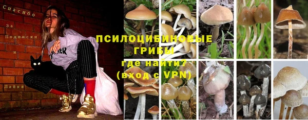 марки lsd Заводоуковск