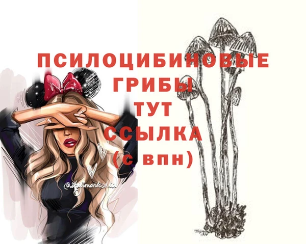 СК Заволжье