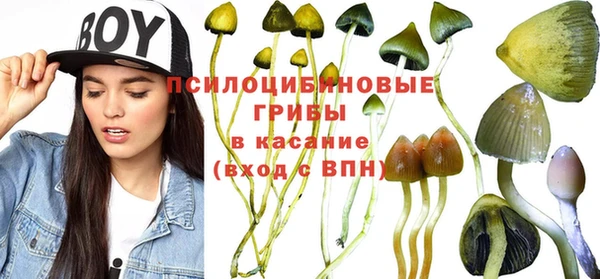 спайс Зеленокумск